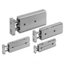 Dual Rod Cylinder CXSJM - CXSJL